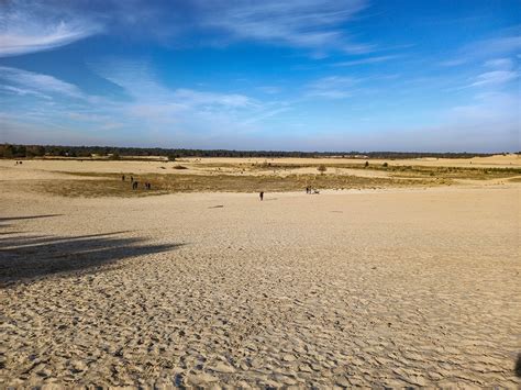 loonse en drunense duinen wandelen.